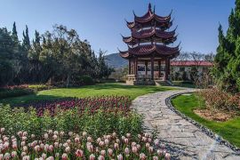 普陀山易德园